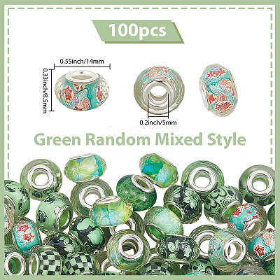 100Pcs Printed Transparent Resin European Beads RESI-PA0001-18A-1