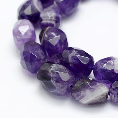 Natural Amethyst Beads Strands G-P322-45-1