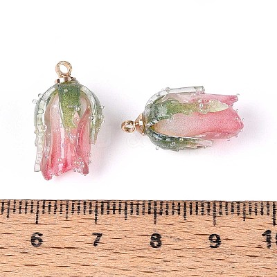 Transparent Acrylic Pendants SACR-T017-53B-1