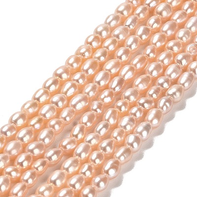 Natural Cultured Freshwater Pearl Beads Strands PEAR-E016-141-1