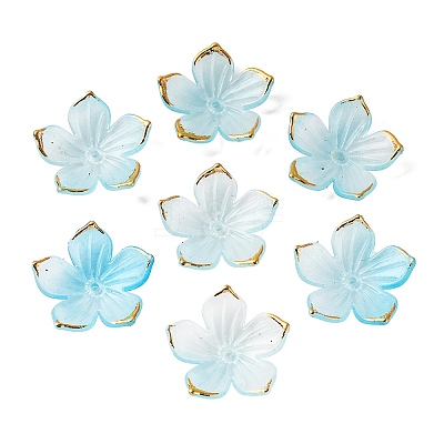 Transparent Acrylic Bead Caps TACR-P011-03C-1