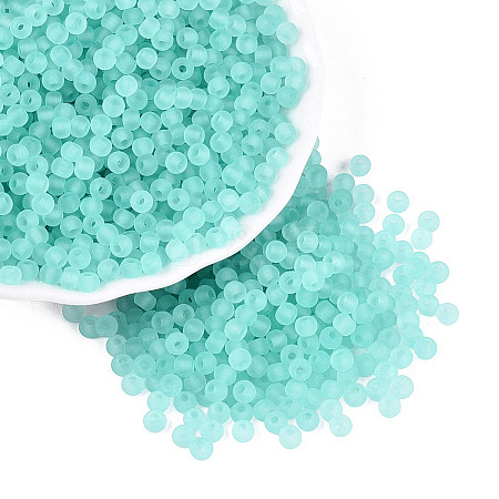 FGB Frosted Transparent Glass Seed Beads SEED-N013-02A-10-1