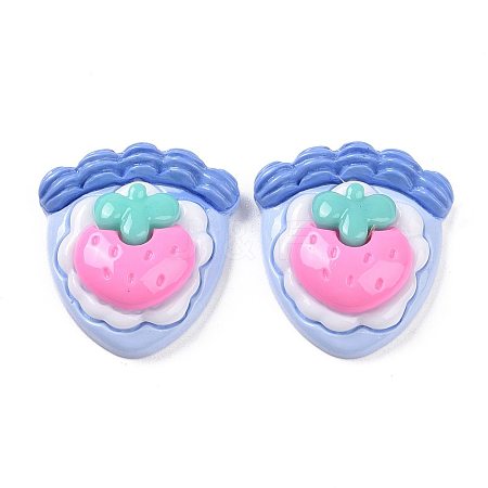 Opaque Resin Cake Decoden Cabochons LS-CRES-A051-01A-1