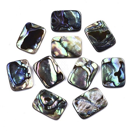 Natural Abalone Shell/Paua Shell Cabochons SSHEL-N034-76A-01-1