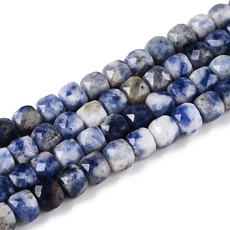 Natural Blue Spot Jasper Beads Strands G-N342-113-1