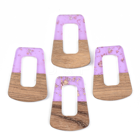 Transparent Resin & Walnut Wood Pendants RESI-S389-034A-B01-1