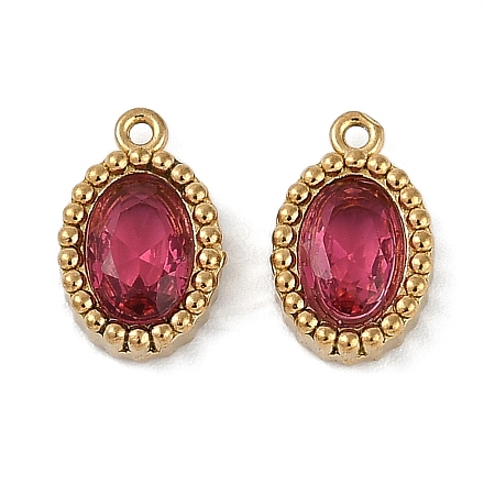 Ion Plating(IP) 304 Stainless Steel Micro Pave Cubic Zirconia Charms STAS-K256-19G-04-1