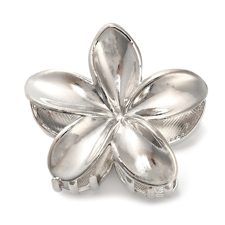 Alloy Claw Hair Clips LS-AJEW-A061-06C-P-1