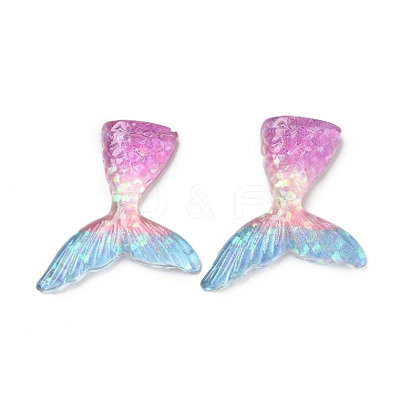 Resin Cabochons RESI-R456-02C-1