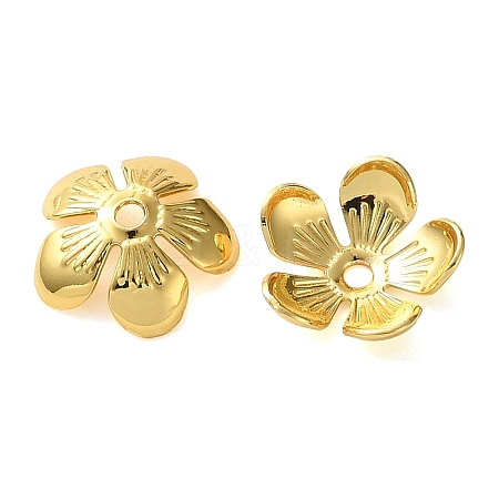 Brass Bead Caps KK-C260-20B-G-1