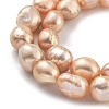 Natural Cultured Freshwater Pearl Beads Strands PEAR-P062-26E-4
