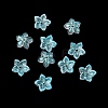 Dyed & Heated Glass Bead Caps GLAA-Z019-02C-1