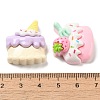 Opaque Resin Imitation Food Decoden Cabochons RESI-R448-09-3