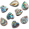 BENECREAT 8Pcs 2 Style Abalone Shell/Paua Shell Beads SHEL-BC0001-013-2