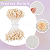 Gypsum with Cotton Cord Artificial Flower Core DIY-WH20007-36A-10-5