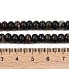 Natural Biotite Beads Strands G-L647-D05-4x6mm-5