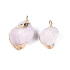 Electroplate Natural Sea Shell Pendants BSHE-Q020-02-3