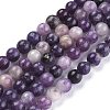 Natural Lepidolite/Purple Mica Stone Beads Strands X-G-K415-6mm-2