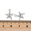 Brass Micro Pave Cubic Zirconia Charms KK-G535-05A-P-3