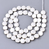 Natural Freshwater Shell Beads Strands X-SHEL-N026-50A-01-2