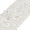 Natural Rainbow Moonstone Beads Strands G-Q060-D12-2