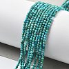 Natural HuBei Turquoise Beads Strands G-B130-A01-01-2