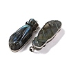 Natural Labradorite Carved Big Pendants G-B085-14P-2