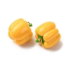 Imitation Vegetable Resin Pendants RESI-K033-03A-01-2
