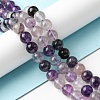 Natural Fluorite Beads Strands G-E598-02B-4