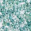 8/0 Glass Seed Beads SEED-A016-3mm-216-2