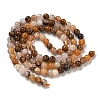 Natural Fossil Coral Beads Strands G-B099-C02-01-3