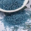 MIYUKI Delica Beads SEED-X0054-DB2383-1