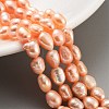 Natural Cultured Freshwater Pearl Beads Strands PEAR-P062-29B-2