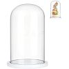 Glass Dome Cover AJEW-WH0001-95B-1