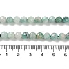 Natural Emerald Quartz Beads Strands G-P514-A06-04-4