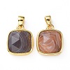 Natural Botswana Agate Charms G-L553-58A-G-2
