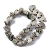 Natural Peace Jade Beads Strands G-F783-G08-01-5