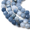 Natural Blue Opal Beads Strands G-P603-C-4mm-04-4