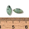 Natural African Turquoise(Jasper) Cabochons G-F772-01B-14-3