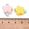 Opaque Resin Imitation Food Decoden Cabochons RESI-H165-10-3