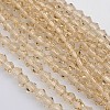 Bicone Glass Beads Strands LS-EGLA-P016-3mm-12-1