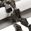 Natural Snowflake Obsidian Beads Strands G-NH0005-B03-01-1