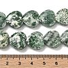Natural Green Spot Jasper Beads Strands G-A309-A20-01-4