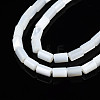 Natural Freshwater Shell Beads Strands SHEL-N003-26-A01-3