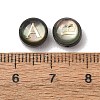 26Pcs 26 Styles Natural Shell Beads SH-CBAD3AC-02-3