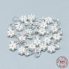 925 Sterling Silver Charms STER-T002-104S-3