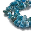 Natural Apatite Beads Strands G-F666-01B-02-01-4