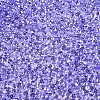 6/0 Baking Paint Transparent Fringe Glass Seed Beads X1-SEED-N006-06I-3