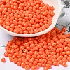 6/0 Opaque Baking Paint Glass Seed Beads SEED-M012-02A-05-1