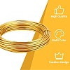 DIY Wire Wrapped Jewelry Kits DIY-BC0011-81F-04-6